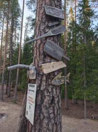Сплав по реке Пистайоки (Писта)