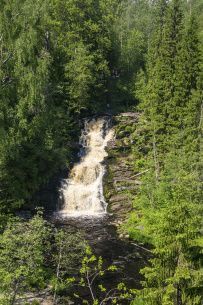 Поход в залив Русалки (Импилахти)