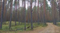Велопоход из Конаково в Тверь (Тверская область)