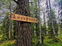 Крыша Карелии (национальный парк Паанаярви)