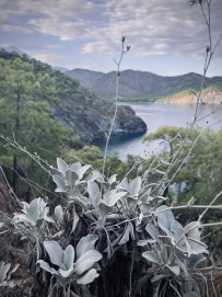 Лучшее на Ликийской тропе за 14 дней (разведка)