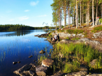 Сплав по реке Кереть и Белое море
