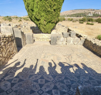 Все цвета королевства контрастов