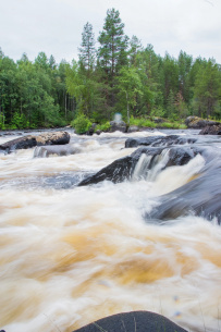 Сплав по реке Кереть и Белое море