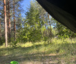 В дебри Нижегородской тайги. Сплав по реке Керженец