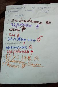 Ладожские шхеры: дети и нерпы