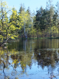 Сплав по реке Пра: через самое сердце Мещеры