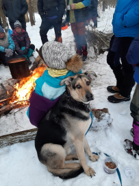 Однодневный пеший поход - Подмосковные Кижи
