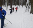 Лыжи: обучение коньковому ходу