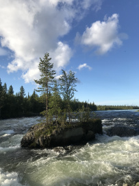 Сплав по реке Умба
