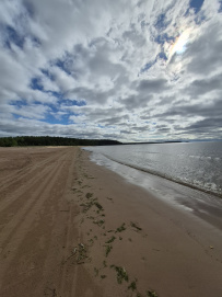 Выборгская Карелия: Северный берег Финского залива (разведка)