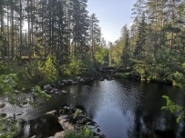 Сплав по реке Шуя