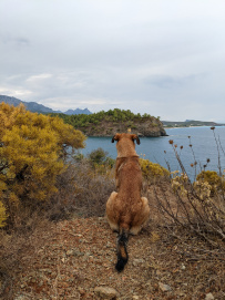 По Ликийской тропе через горы к морю (классический пеший поход)
