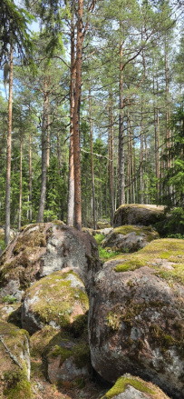 Карельский велопоход: Ладожское озеро, реки, скалы, водопады