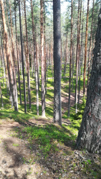 Яппиля: путь к маяку Стирсудден