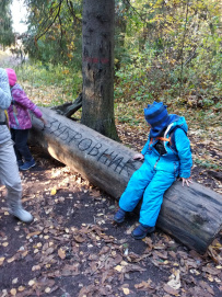 Прогулка в Зубровник для родителей с детьми!