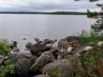 Сплав по реке Кереть и Белое море