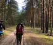 Пеший поход «Бодрый моцион» (поход-разведка)