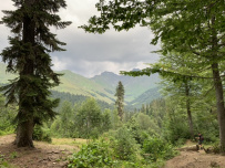 Детская Абхазия 