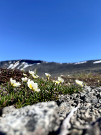 В сердце Кольских гор на морских каяках: Умбозеро, Хибины и Ловозерье
