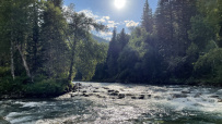 Сплав по рекам Кумир и Коргон с конной заброской