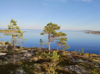 Сплав по реке Кереть и Белое море
