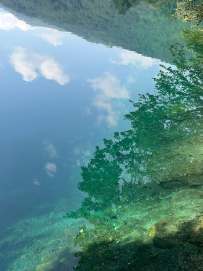 Целебный горный лагерь на Кавказе