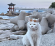 Южная Корея: три главных национальных парка
