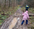 Детский однодневный пеший поход: Сказка Истринского леса