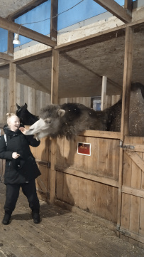 Однодневный поход-трекинг с хаски