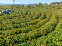 Соловецкие острова на морских каяках