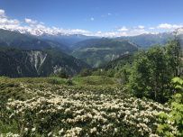Сванетия налегке (ночевки в гестхаусах)