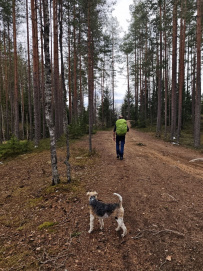 По следам Лыжной Стрелы