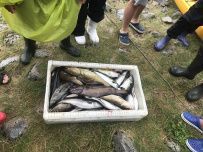 Тур по Лофотенским островам и Норвежскому морю на морских каяках + треккинг в горы
