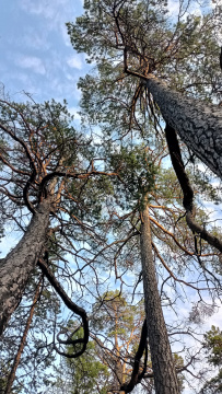 По Байкалу на байдарках: Ольхон