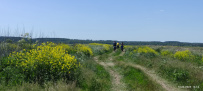 Велопоход в арт-парк Никола-Ленивец