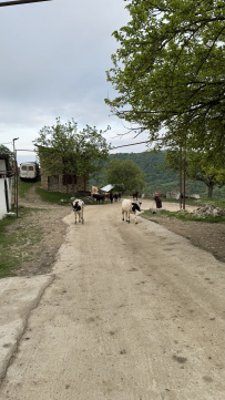 Большая Кавказская тропа: из Дербента вдоль Горной стены
