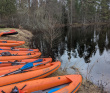 Сплав по реке Поля «Cквозь лес на байдарках»