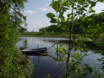 Оредеж — прогулка на байдарках (1 день)