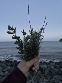 В Сердце Ликийской тропы (Поход вдоль моря, без рюкзаков)