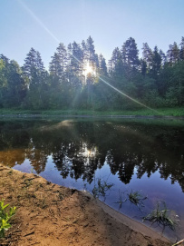 Фото из отзыва участника