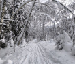 Лыжный поход с тёплой ночёвкой «Страна белоснежных троп» (Подмосковье)