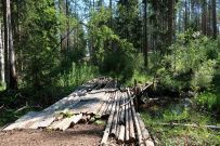 Пеший поход в Каннельярви