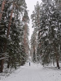 Красоты Мещёры с ночёвкой в тёплом доме (пеший поход)