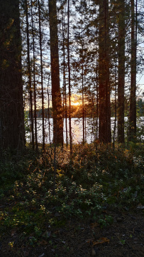 Карельский велопоход: Ладожское озеро, реки, скалы, водопады