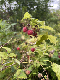 Пеший поход «Вертикальный километр»