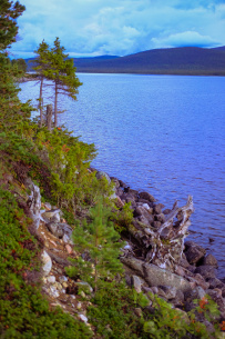 Колвица на морских каяках (байдарках). Путешествие на землю Саамов