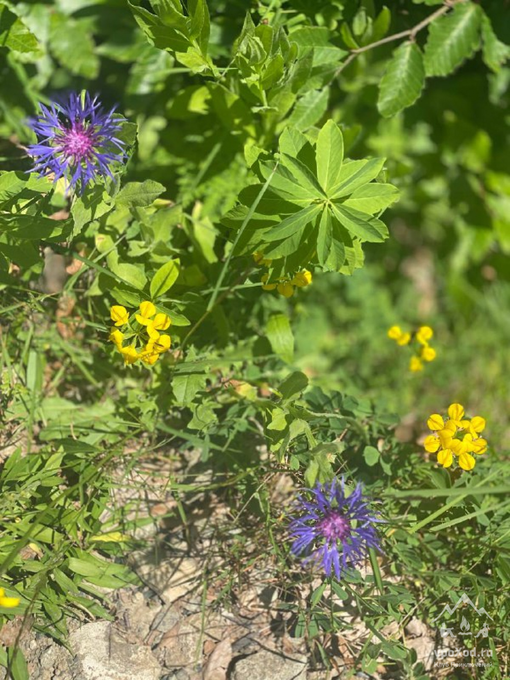 Детская Абхазия 