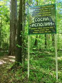 Пеший поход «Край покинутых деревень»