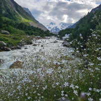 Красоты Безенги